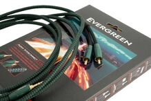 Audioquest Evergreen JR - audio kabel 3,5 mm jack samec - 2 x RCA (1)